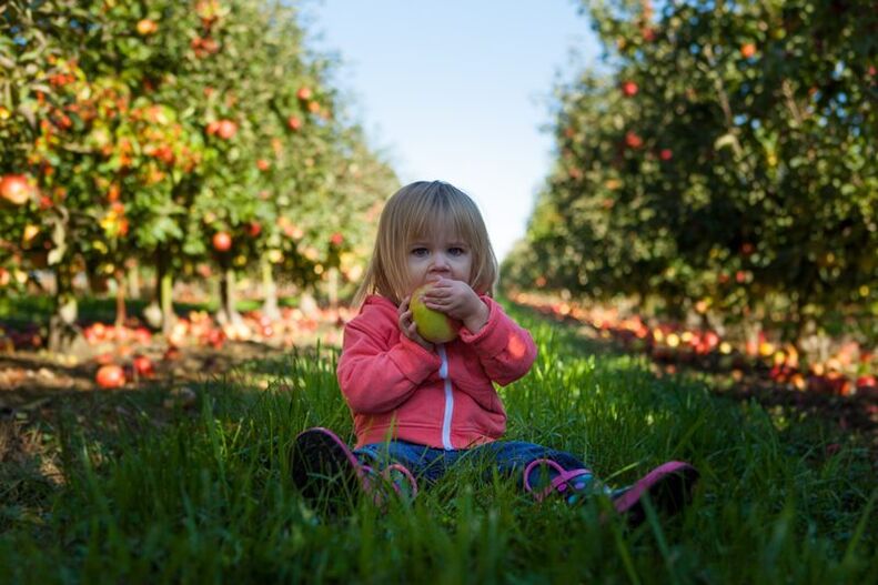 Les enfants avec un diagnostic de diabète sucré peuvent utiliser des fruits laids